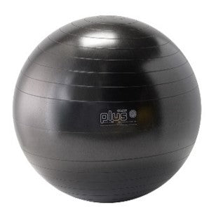 バランスボール ギムニクPLUS 65cm