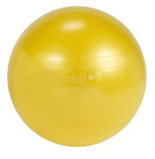 バランスボール ギムニクPLUS 75cm