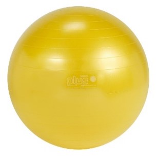 バランスボール ギムニクPLUS 65cm